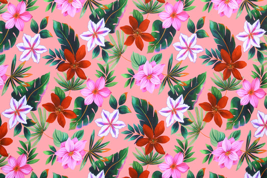 KNI0023 Coral