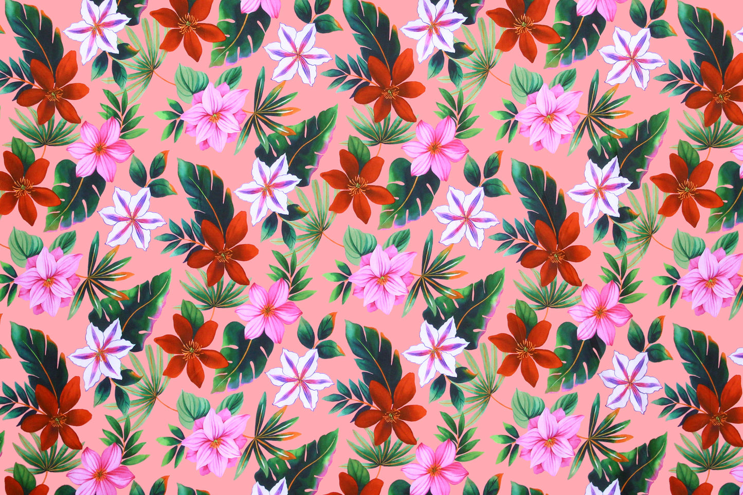 KNI0023 Coral