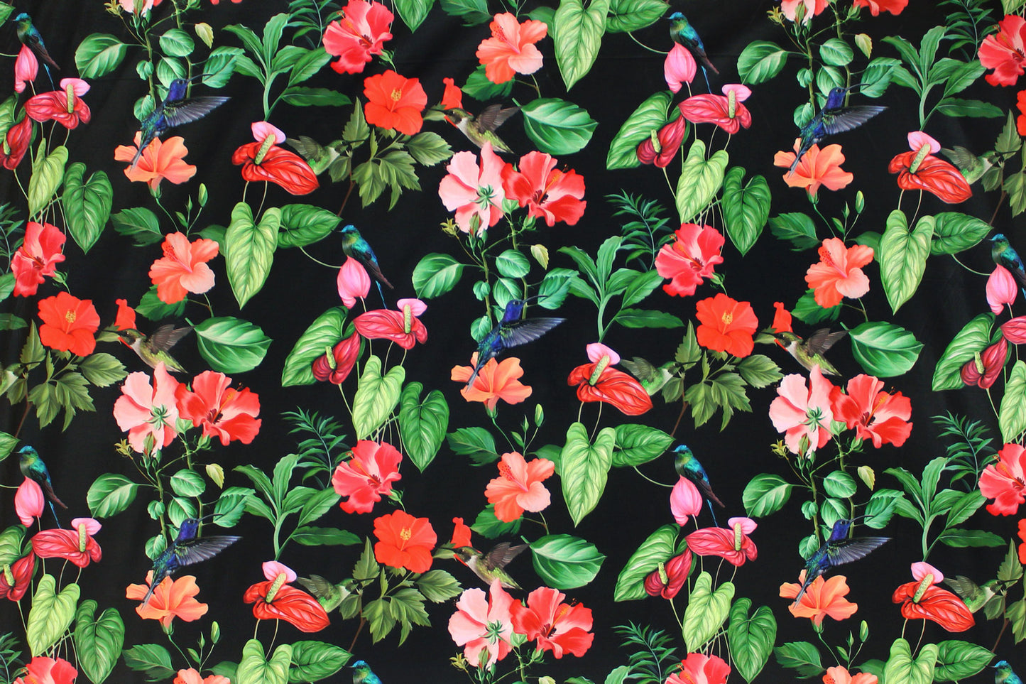 KNI0032 Black