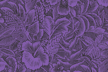 KNI0036 Eggplant