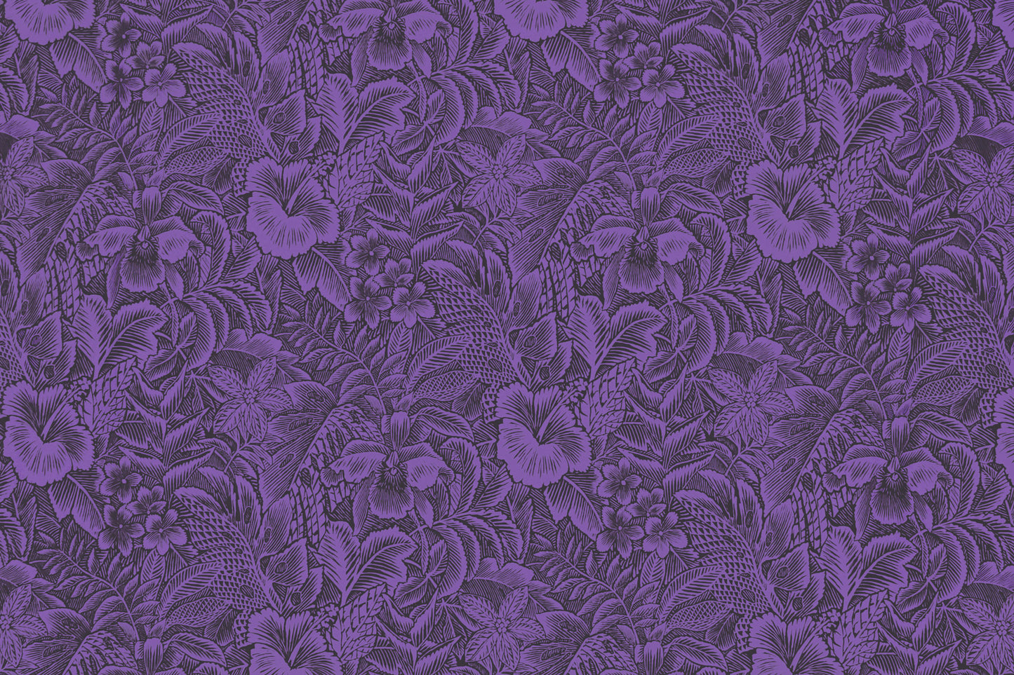 KNI0036 Eggplant