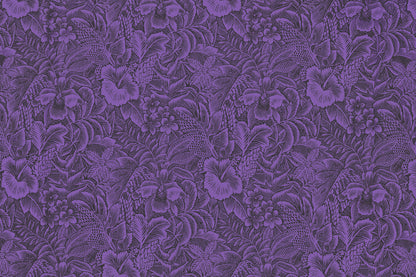KNI0036 Eggplant