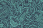 KNI0036 Moss