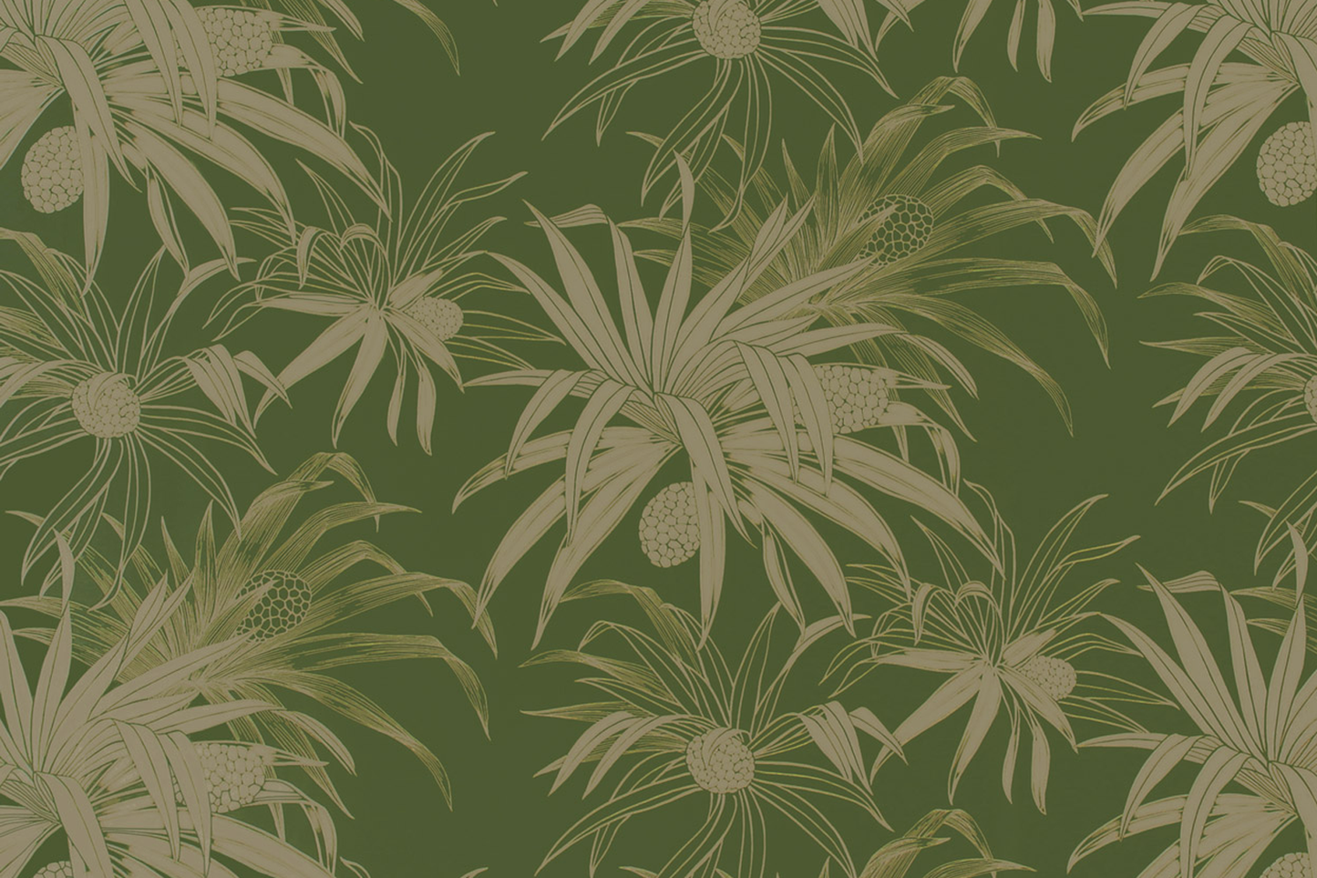 KNI0038 Leaf