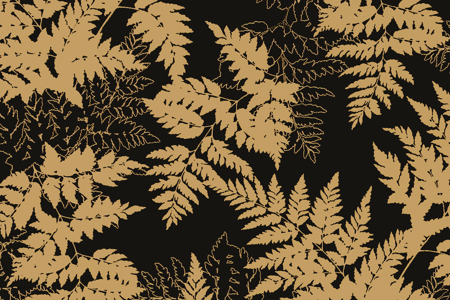 KNI0040 Black