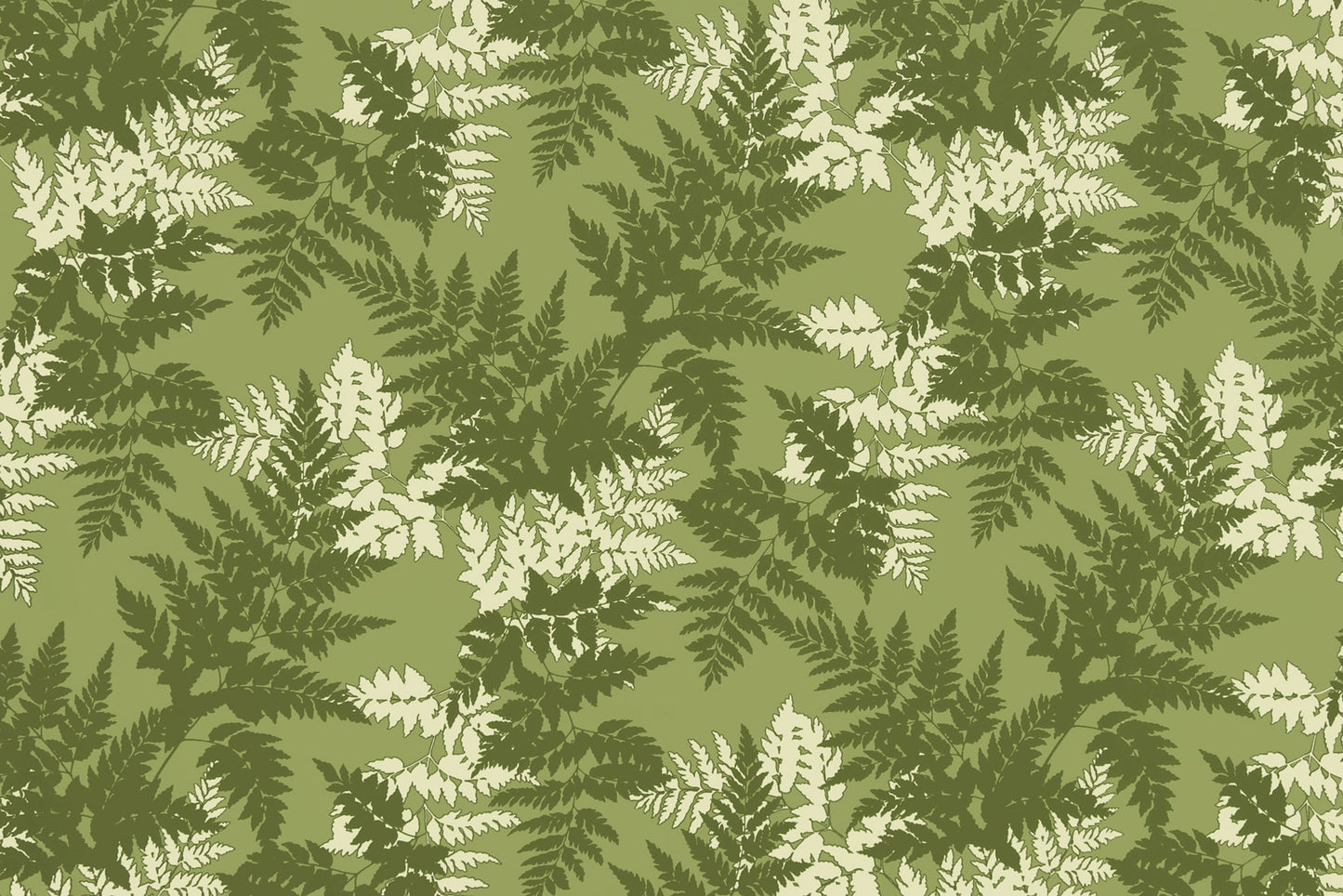 KNI0040 Olive
