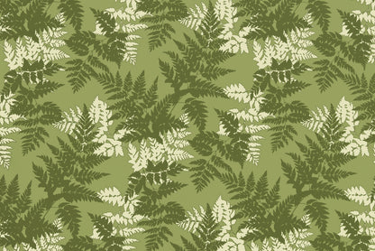 KNI0040 Olive