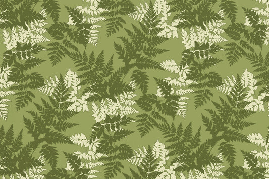 KNI0040 Olive