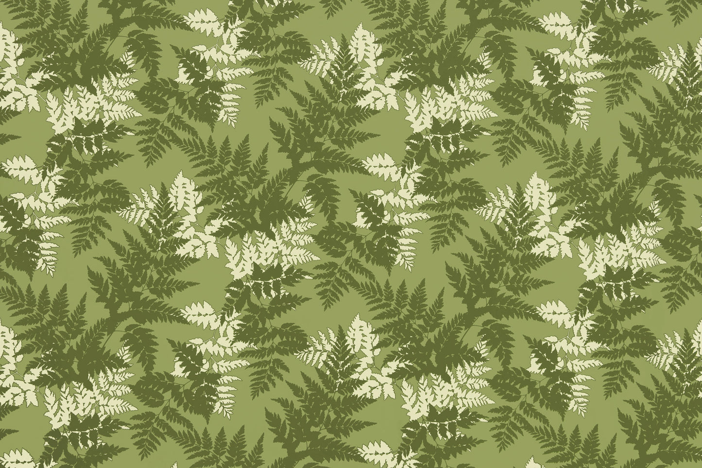 KNI0040 Olive