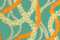 KNI0041 Aqua