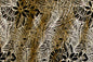MPF0004 Black/Gold