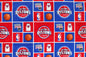 Detroit Pistons- NBA0006