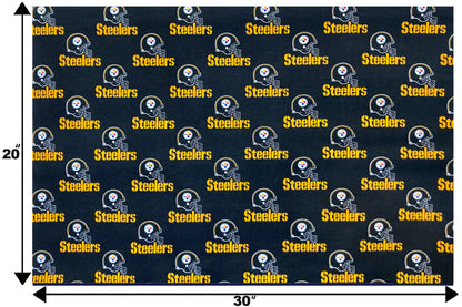 Pittsburgh Steelers- NFL0076