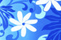 PAA0003 Blue