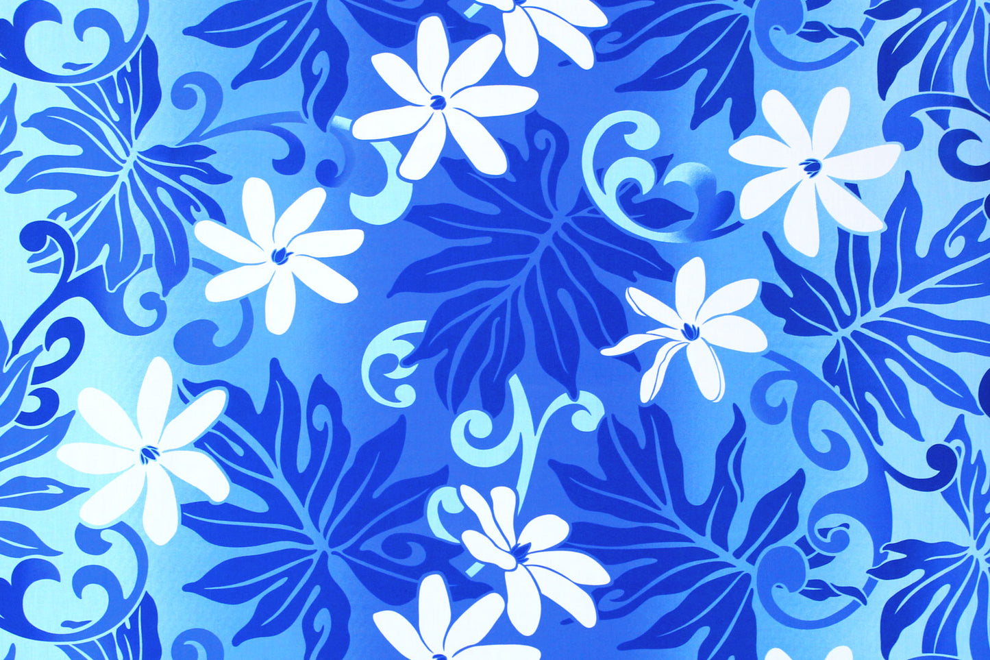 PAA0003 Blue