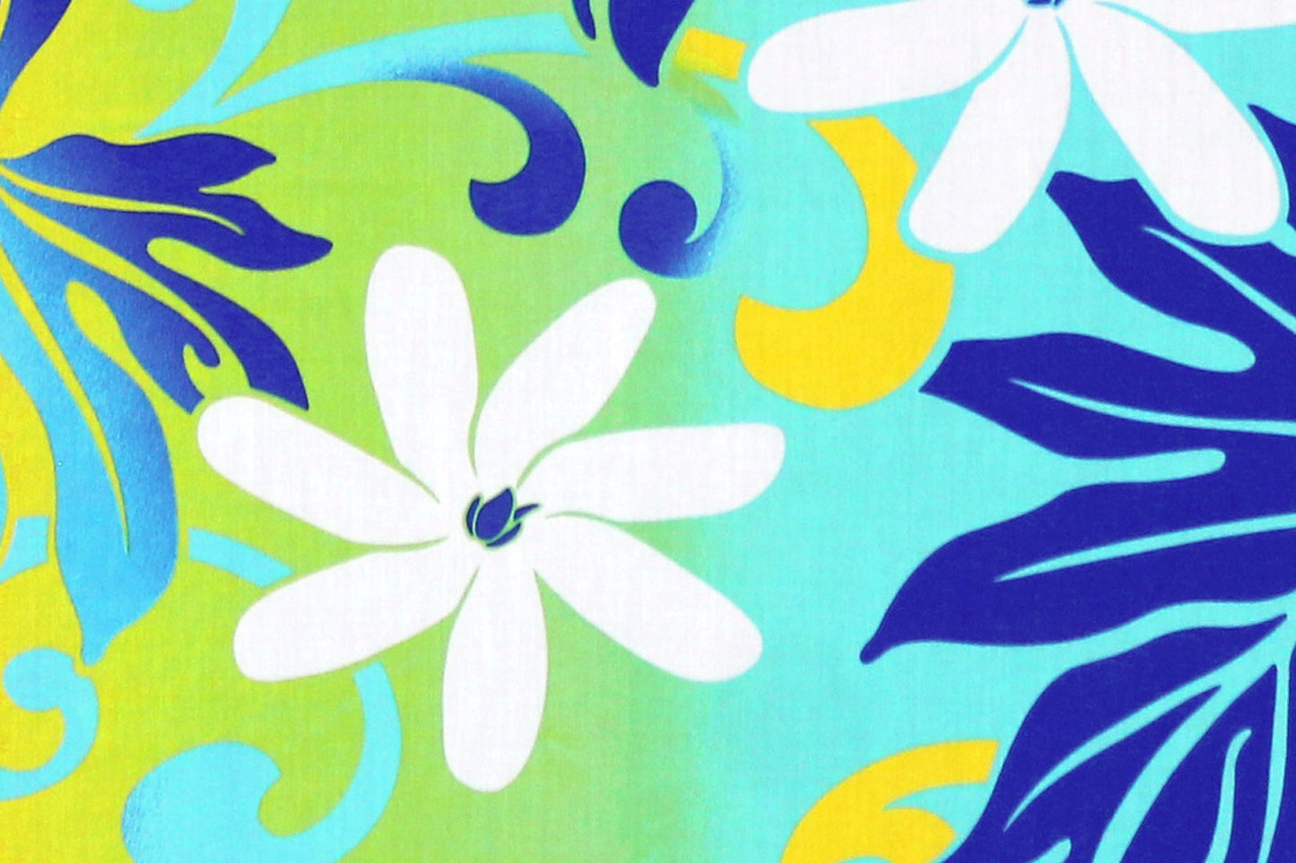 PAA0003 Yellow/Blue