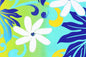 PAA0003 Yellow/Blue