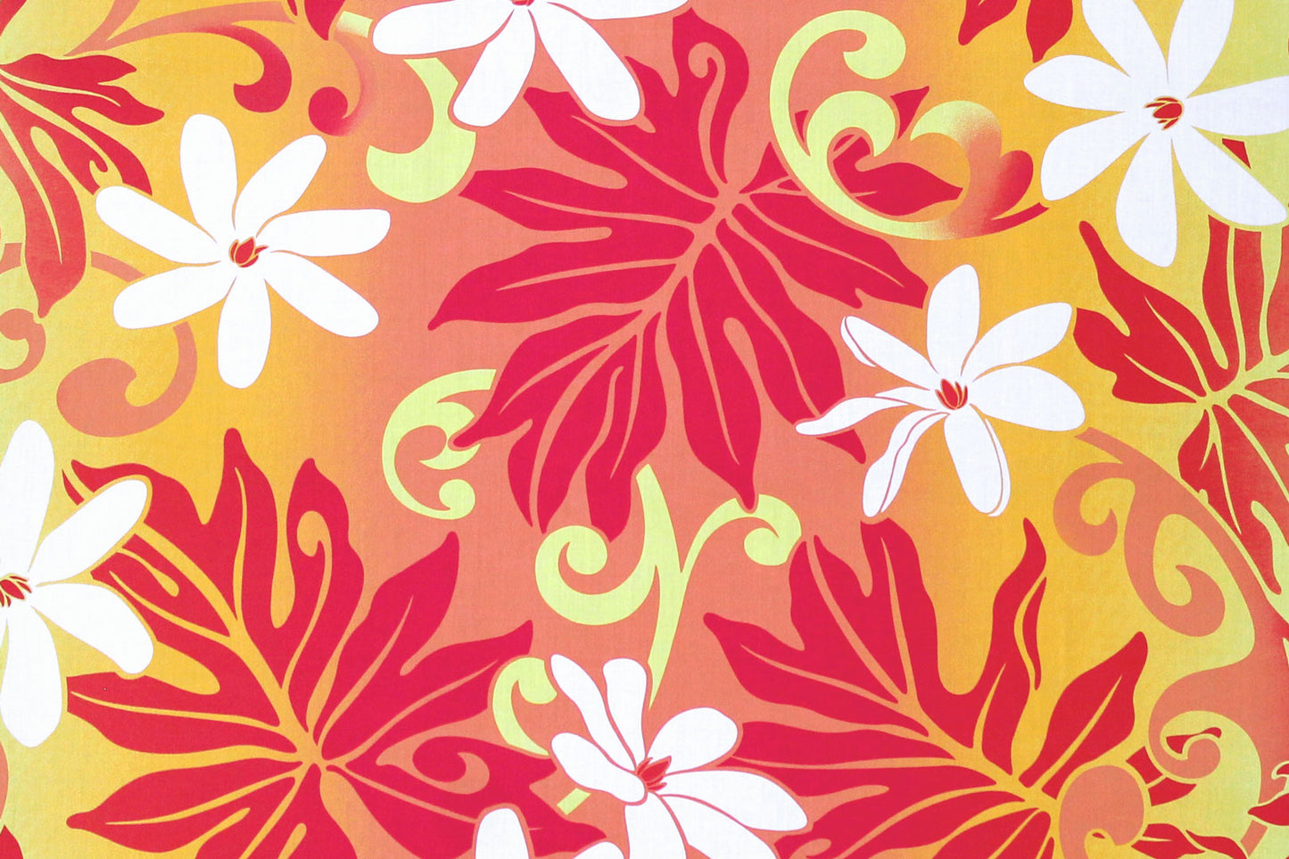 PAA0003 Yellow/Peach