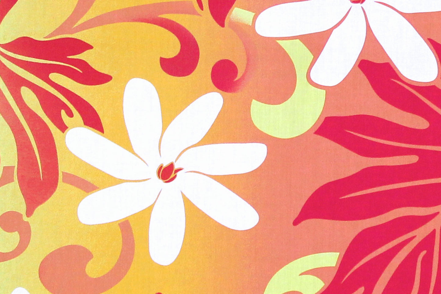 PAA0003 Yellow/Peach