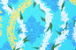PAA0004 Aqua