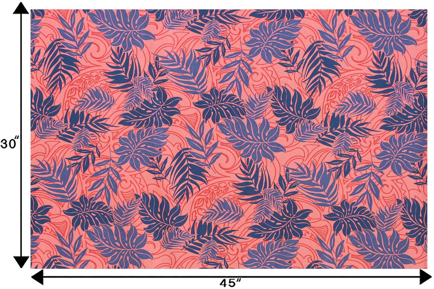PAA0920 Coral