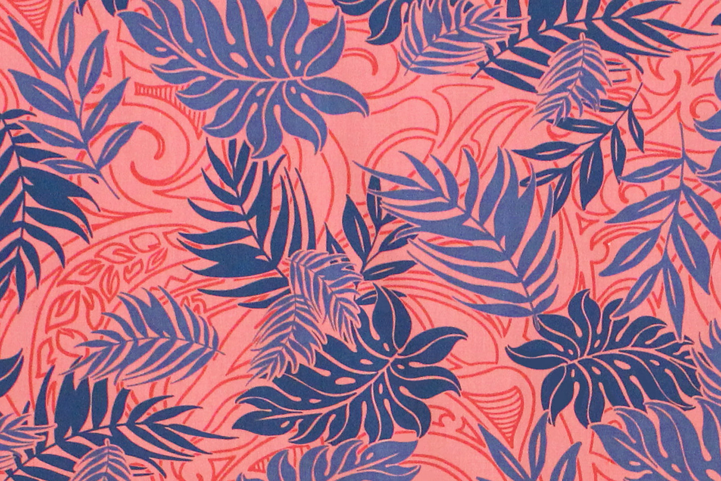 PAA0920 Coral