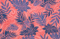 PAA0920 Coral