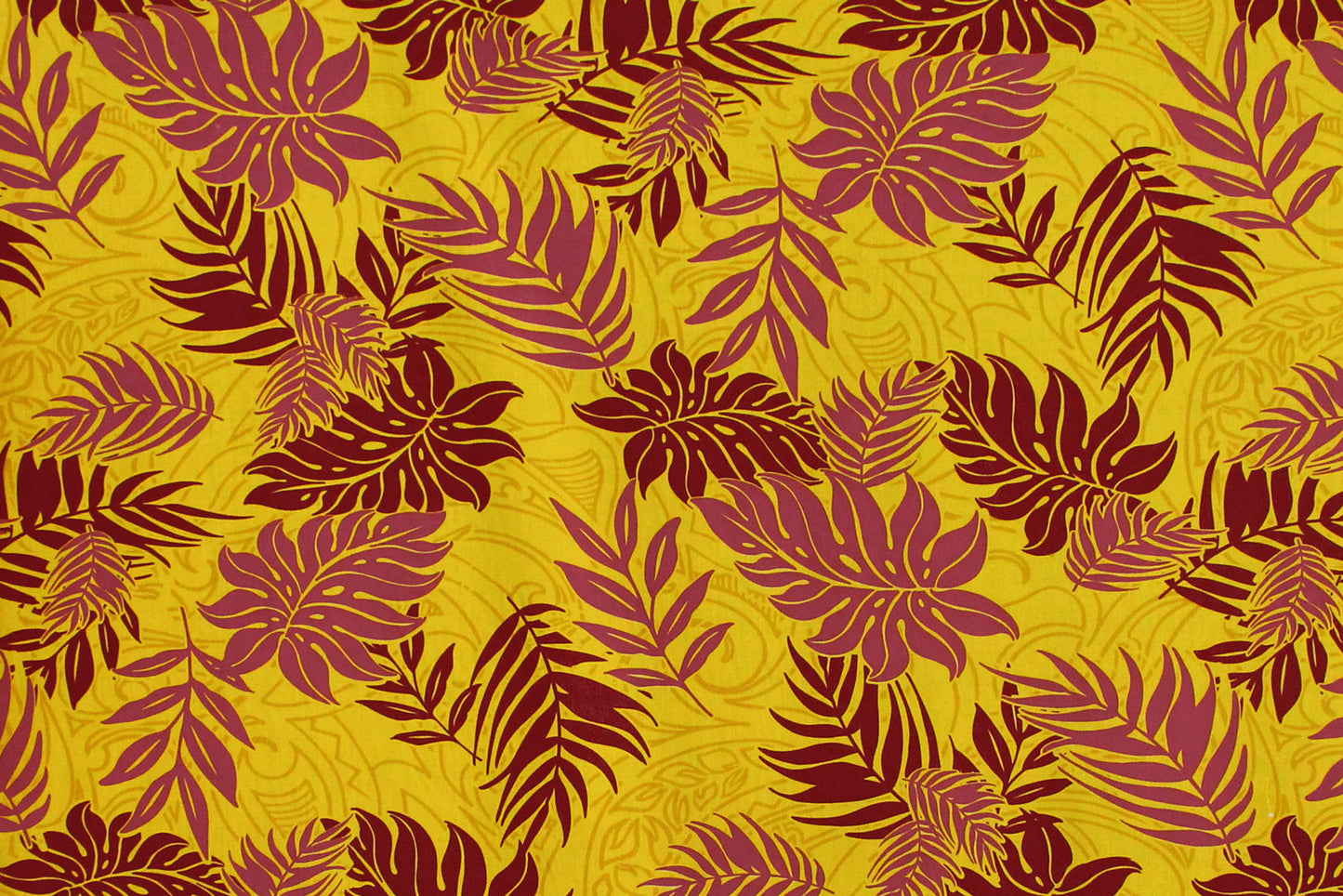 PAA0920 Mustard