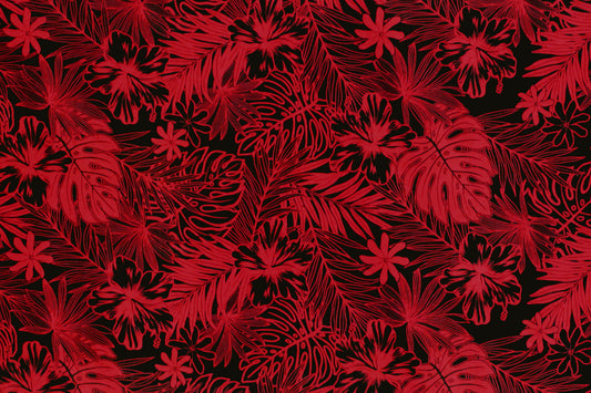 PAA1270 Black/Red