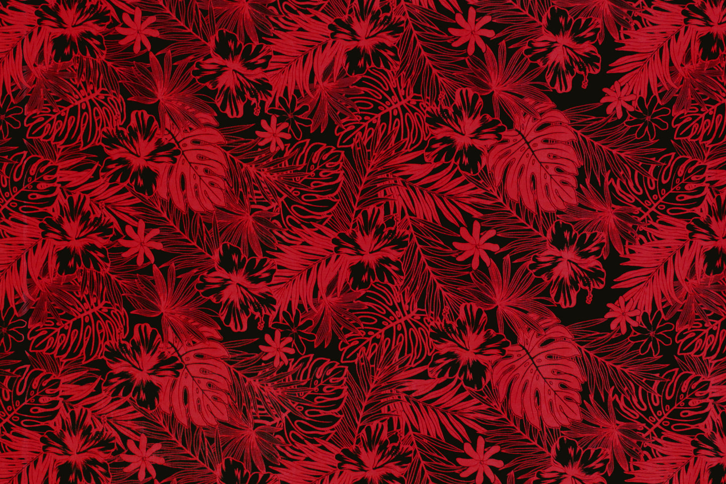 PAA1270 Black/Red