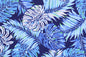 PAA1276 Navy