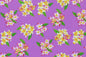 PAA1277 Purple