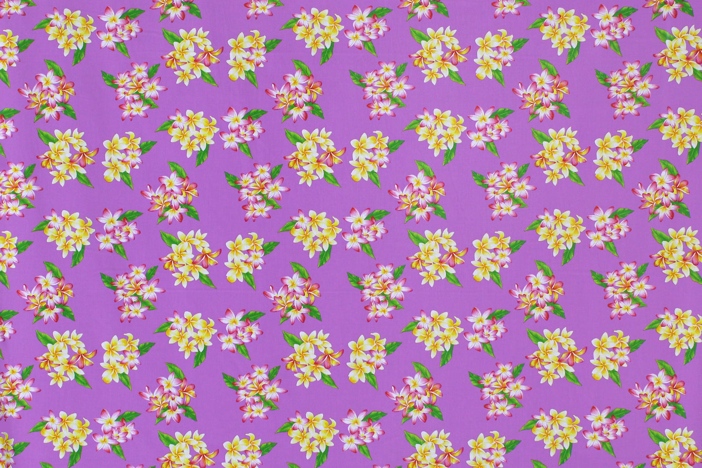 PAA1277 Purple
