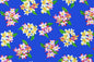 PAA1277 Royal