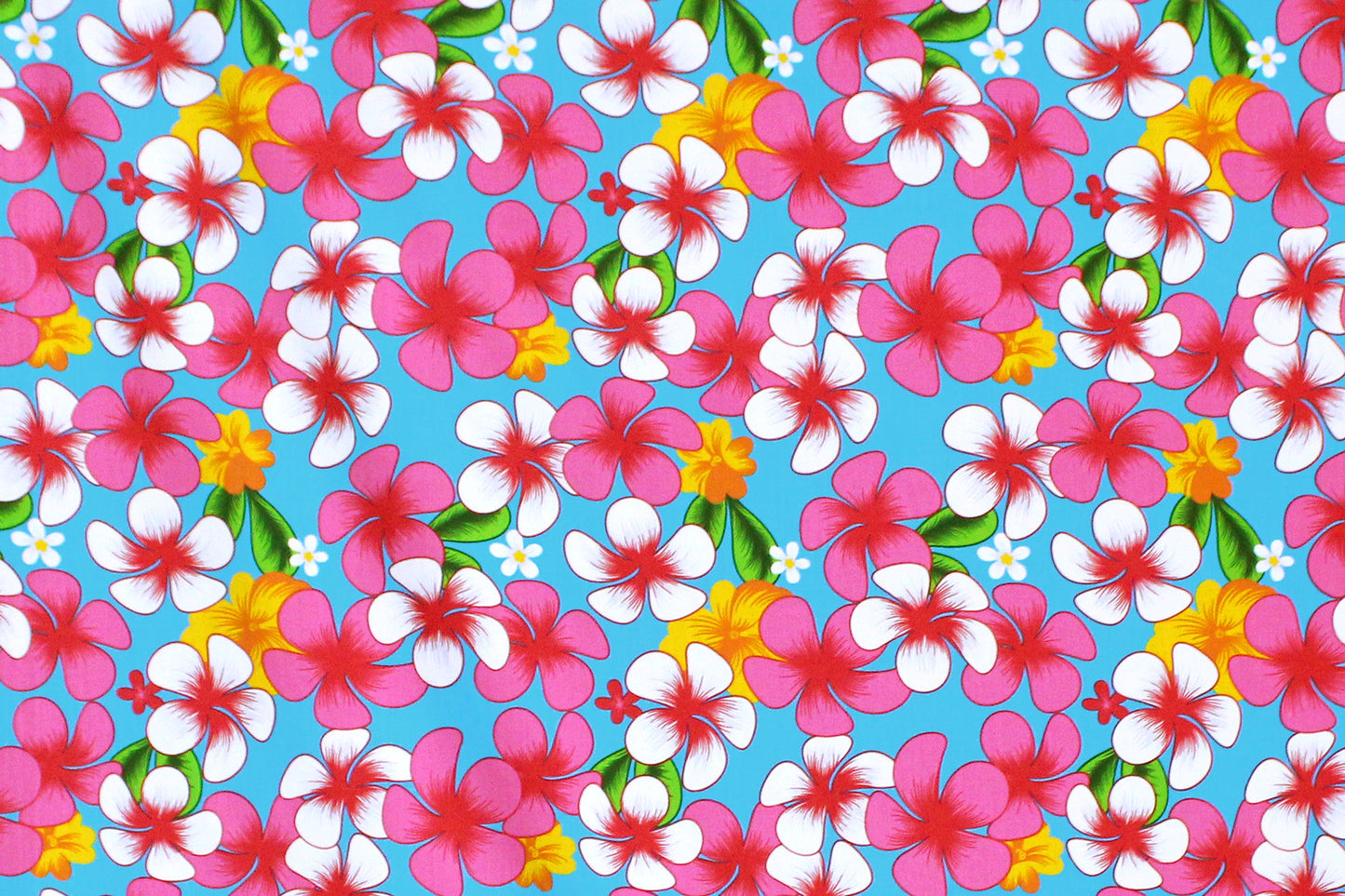 PAA1278 Turquoise