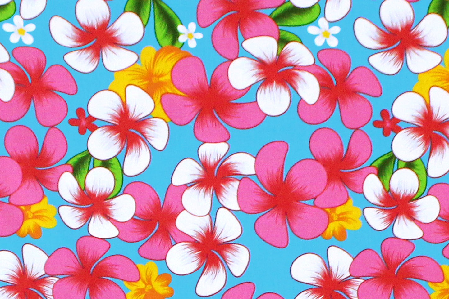 PAA1278 Turquoise