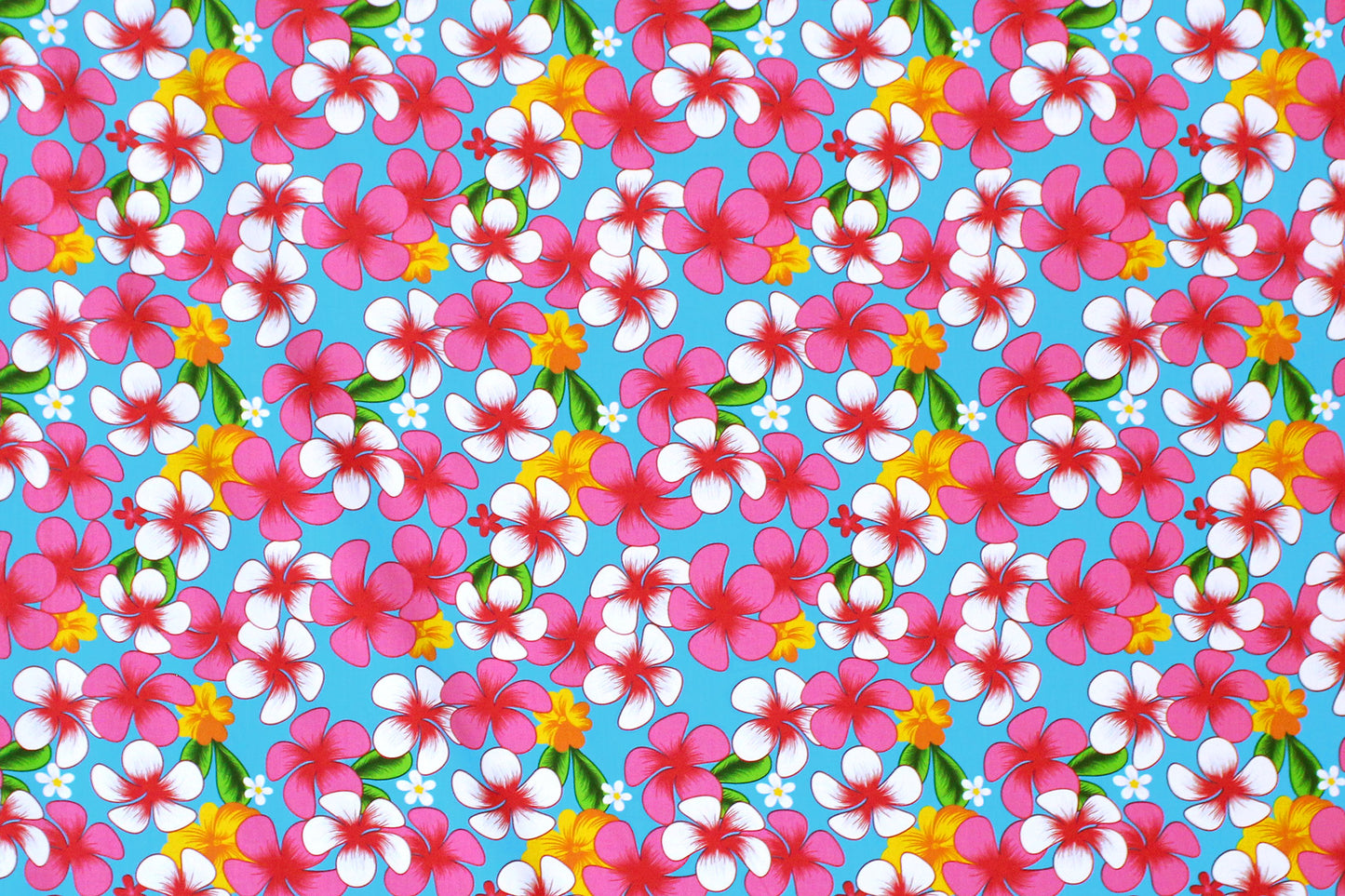 PAA1278 Turquoise