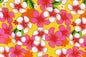 PAA1278 Yellow