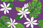 PAA1280 Purple