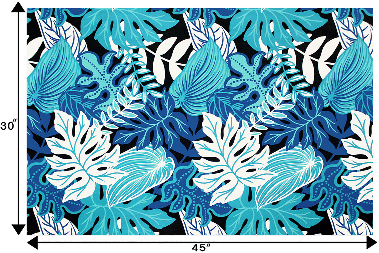 PAA1282 Black/Blue