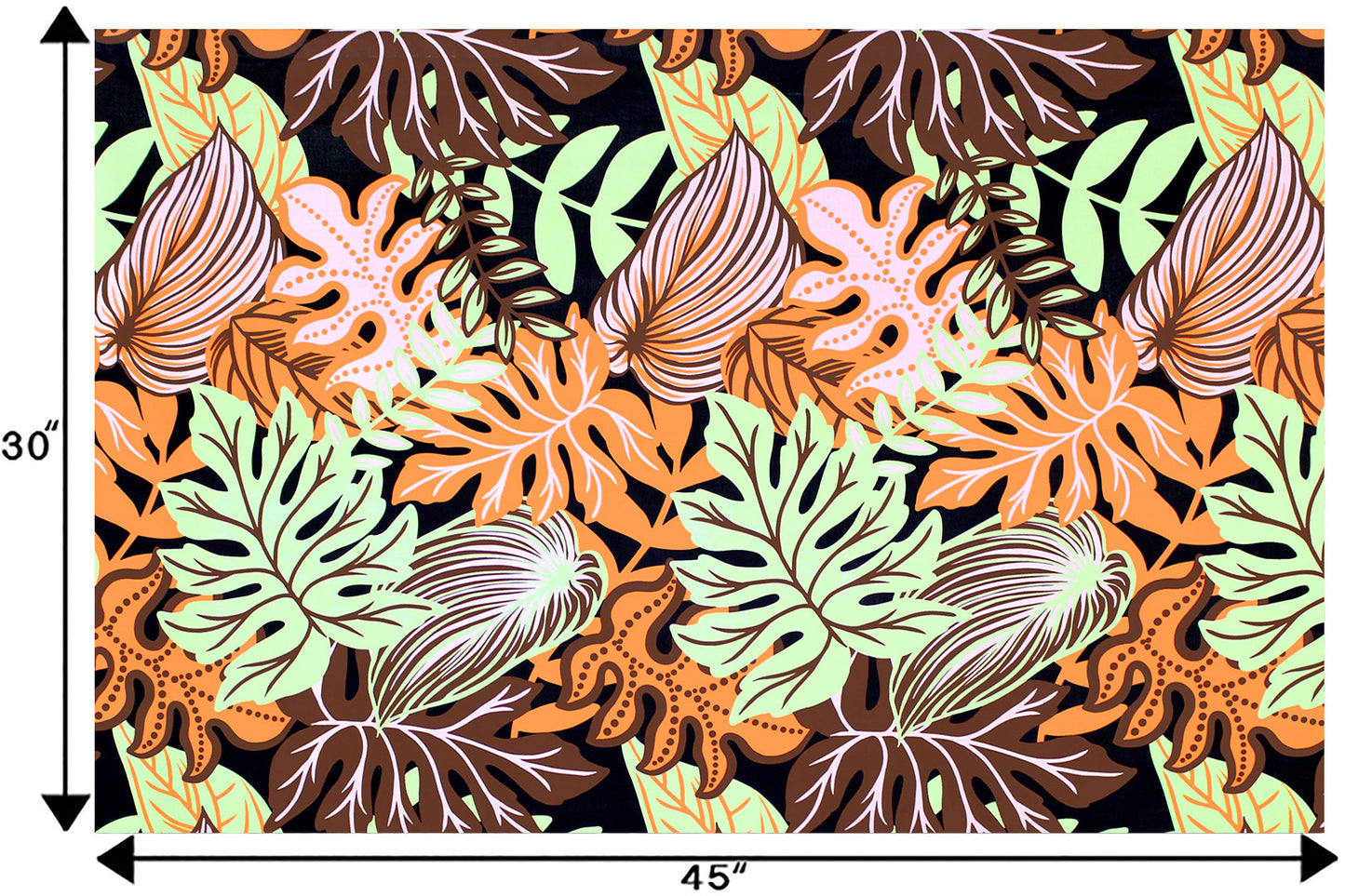 PAA1282 Coral