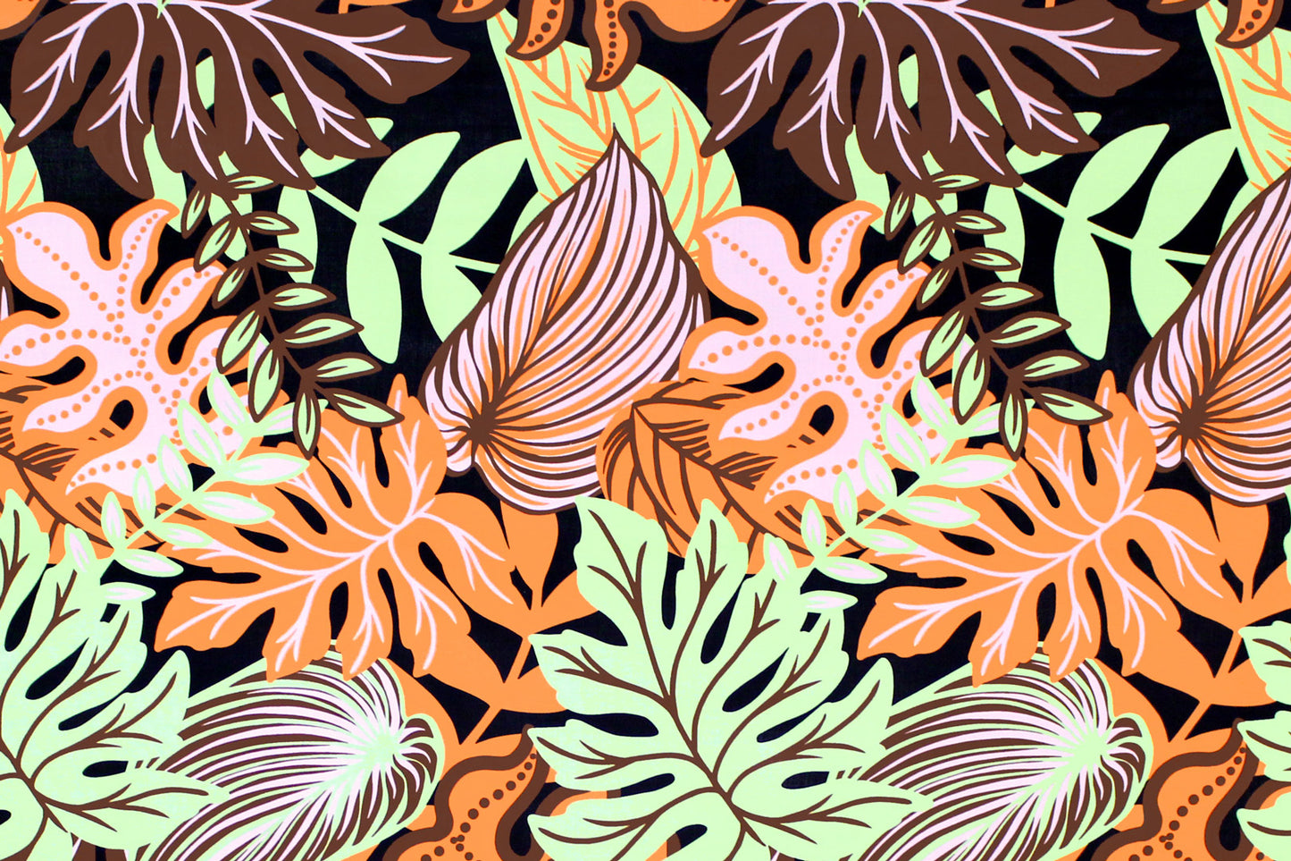 PAA1282 Coral