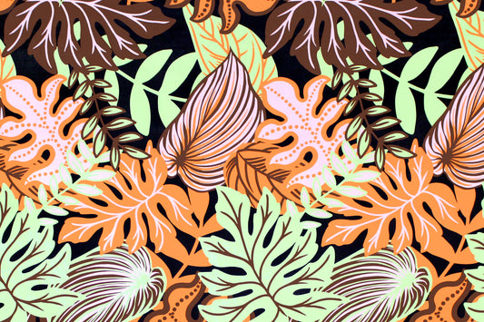 PAA1282 Coral