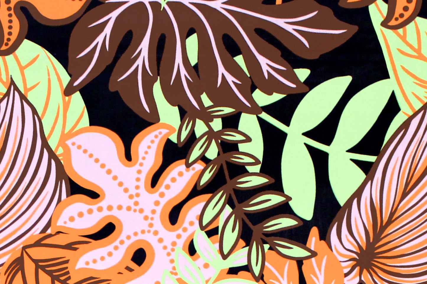 PAA1282 Coral