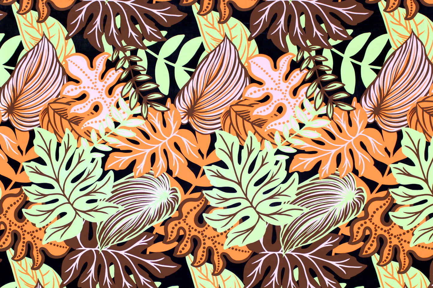 PAA1282 Coral