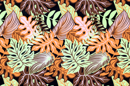 PAA1282 Coral