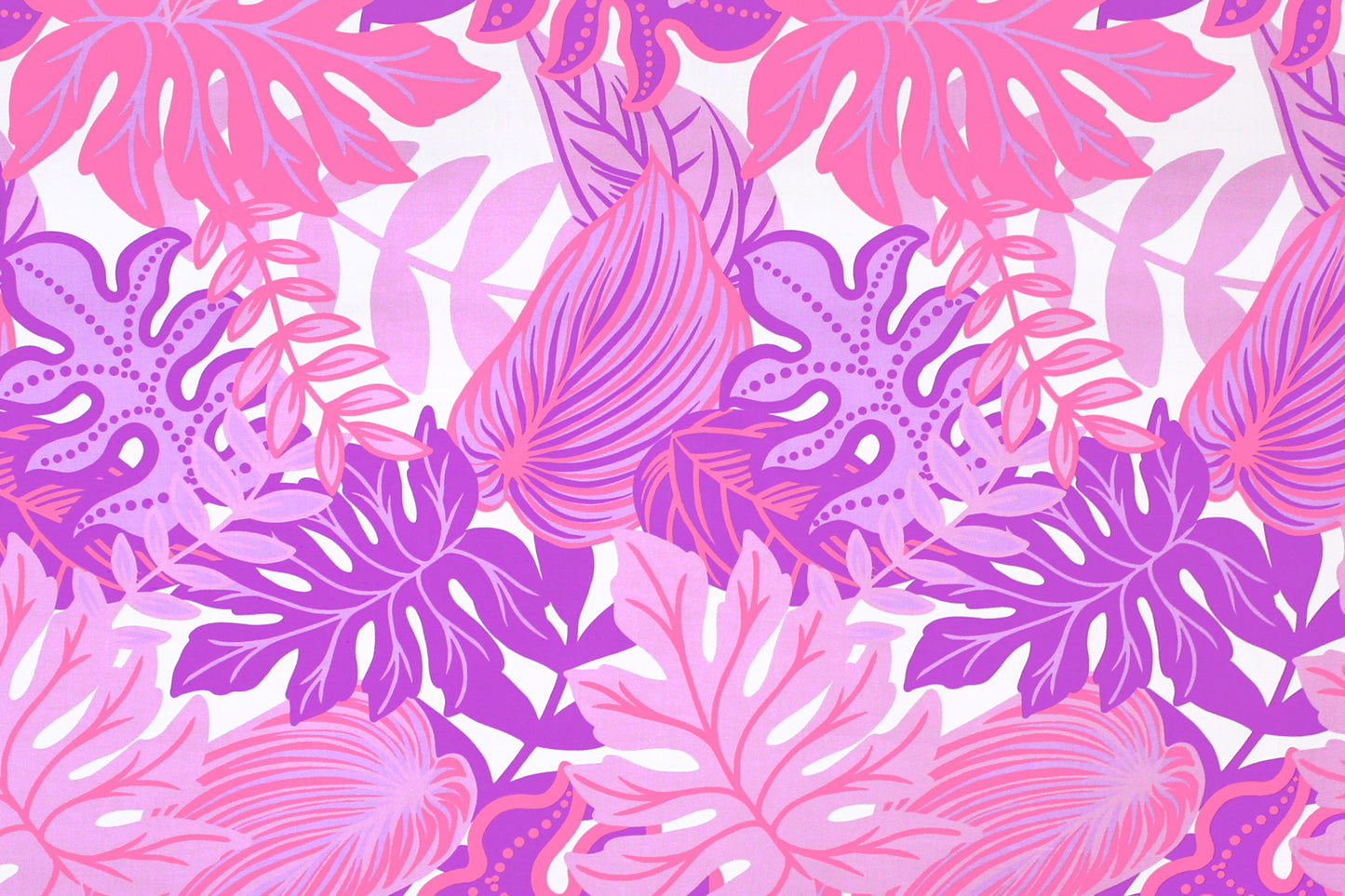 PAA1282 Cream/Purple
