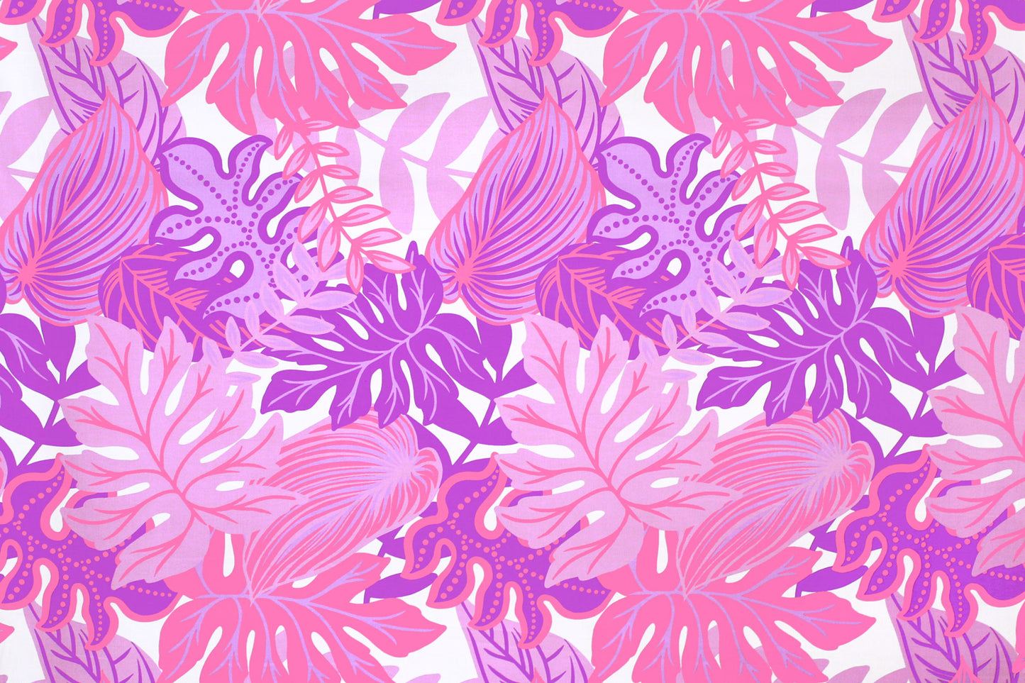 PAA1282 Cream/Purple