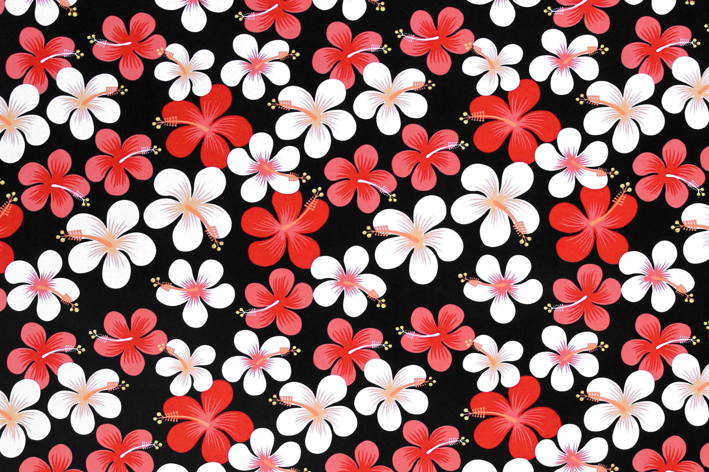 PAA1287 Black/Red