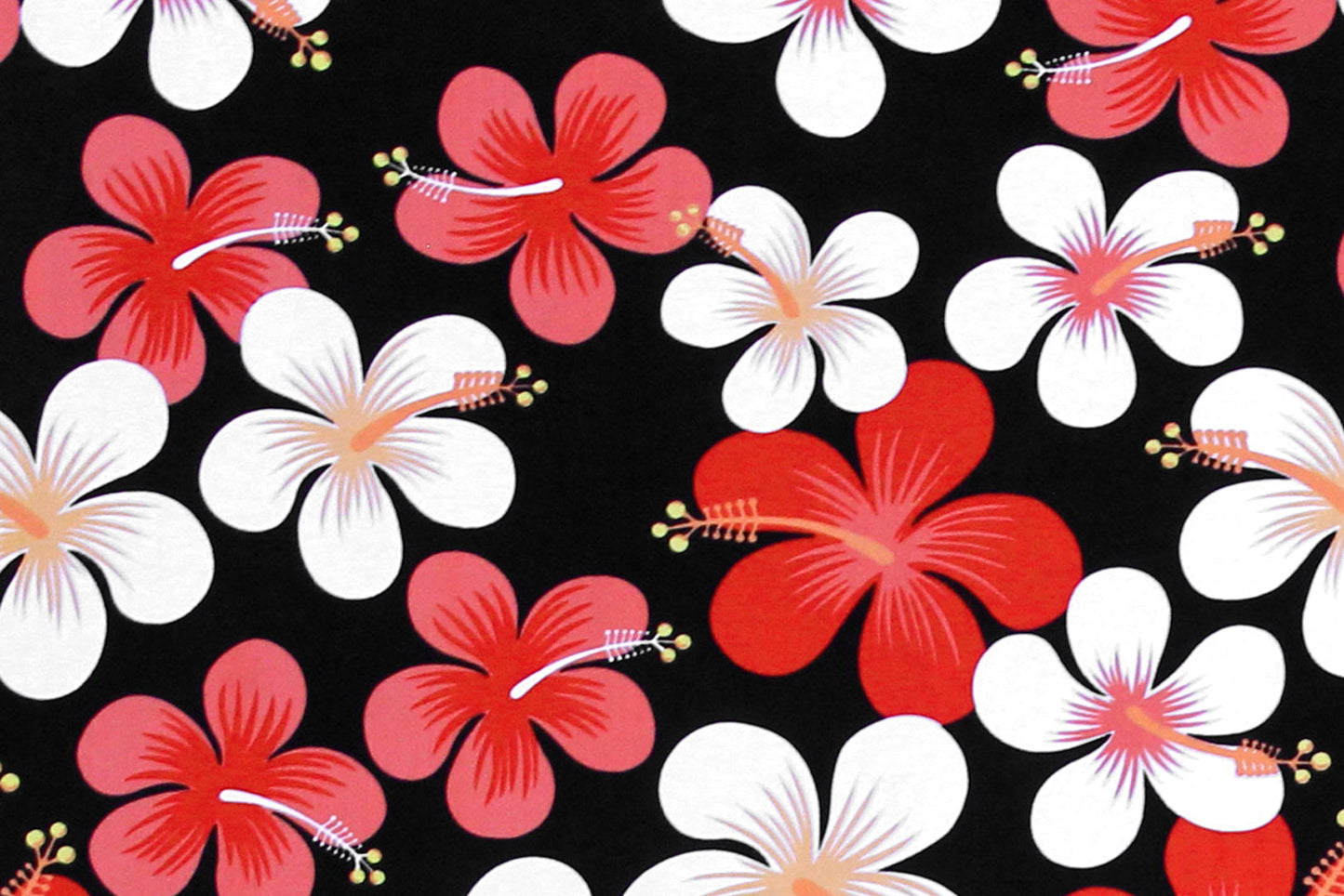 PAA1287 Black/Red